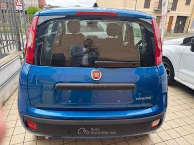 Fiat Panda 1.0 FireFly S&S Hybrid Blu/Azzurro usata Asti