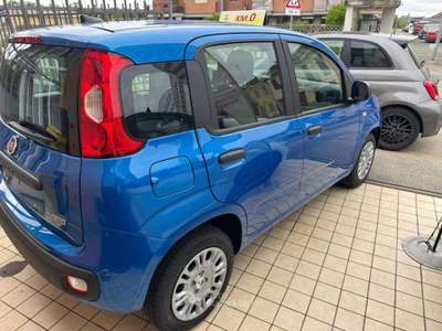 Fiat Panda 1.0 FireFly S&S Hybrid Blu/Azzurro usata Asti