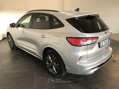 Ford Kuga 1.5 EcoBlue 120 CV aut. 2WD ST-Line Argento usata Casalserugo
