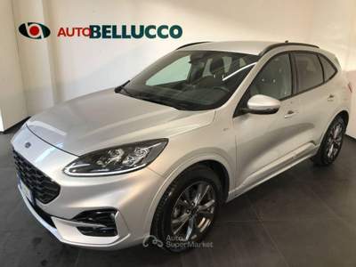 Ford Kuga 1.5 EcoBlue 120 CV aut. 2WD ST-Line Argento usata Casalserugo