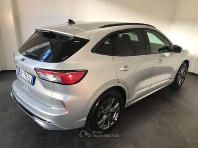 Ford Kuga 1.5 EcoBlue 120 CV aut. 2WD ST-Line Argento usata Casalserugo