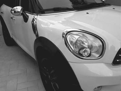 MINI Countryman mini r60 Bianco usata Bernalda