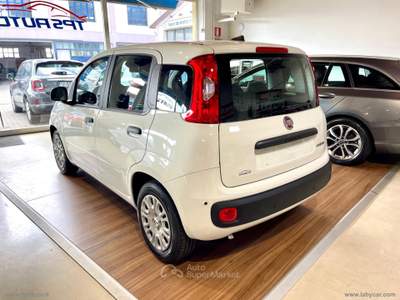 Fiat Panda Panda 1.0 FireFly S&S Hybrid Bianco usata Sesto Fiorentino