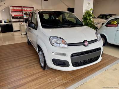 Fiat Panda Panda 1.0 FireFly S&S Hybrid Bianco usata Sesto Fiorentino