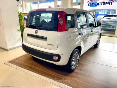 Fiat Panda Panda 1.0 FireFly S&S Hybrid Bianco usata Sesto Fiorentino