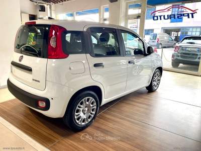 Fiat Panda Panda 1.0 FireFly S&S Hybrid Bianco usata Sesto Fiorentino