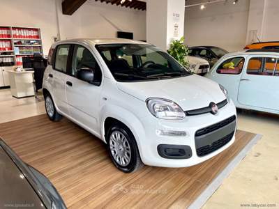 Fiat Panda Panda 1.0 FireFly S&S Hybrid Bianco usata Sesto Fiorentino