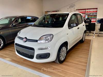 Fiat Panda Panda 1.0 FireFly S&S Hybrid Bianco usata Sesto Fiorentino