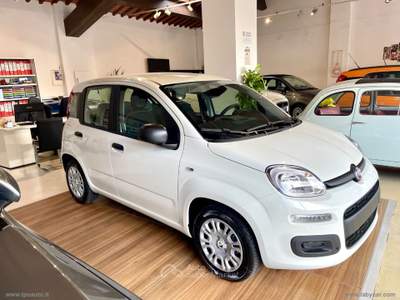 Fiat Panda Panda 1.0 FireFly S&S Hybrid Bianco usata Sesto Fiorentino