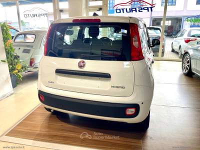 Fiat Panda Panda 1.0 FireFly S&S Hybrid Bianco usata Sesto Fiorentino