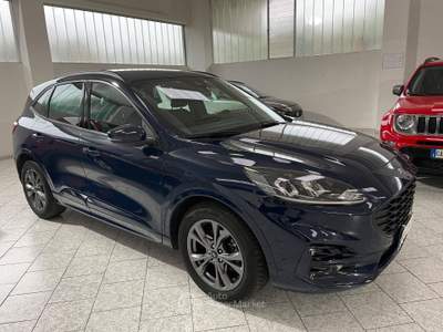 Ford Kuga EcoBlue 120 CV aut. 2WD ST-Line Blu/Azzurro usata Gozzano