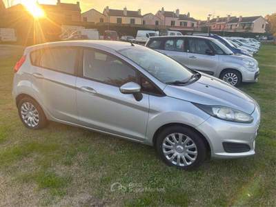 Ford Fiesta 5 porte Grigio usata COMACCHIO