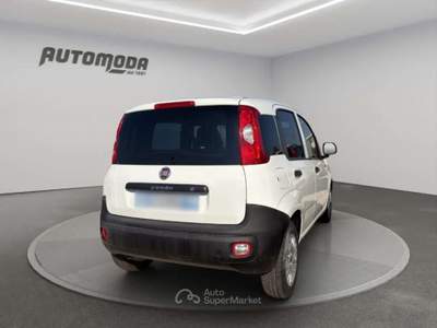 Fiat Panda 1.2 VAN AUTOCARRO Bianco usata San Miniato