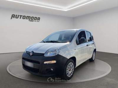 Fiat Panda 1.2 VAN AUTOCARRO Bianco usata San Miniato