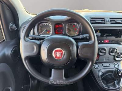 Fiat Panda 1.2 VAN AUTOCARRO Bianco usata San Miniato