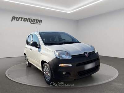 Fiat Panda 1.2 VAN AUTOCARRO Bianco usata San Miniato