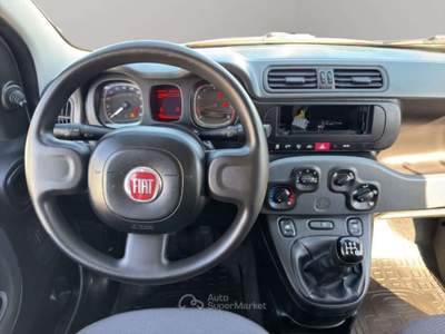 Fiat Panda 1.2 VAN AUTOCARRO Bianco usata San Miniato