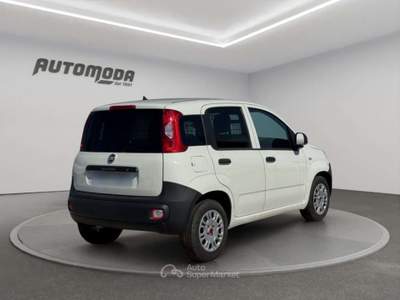 Fiat Panda 1.2 GPL Van 2 posti Bianco usata San Miniato