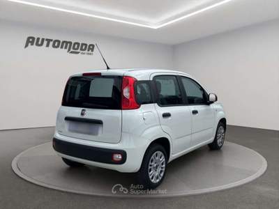 Fiat Panda 1.2 69CV EASY Bianco usata San Miniato