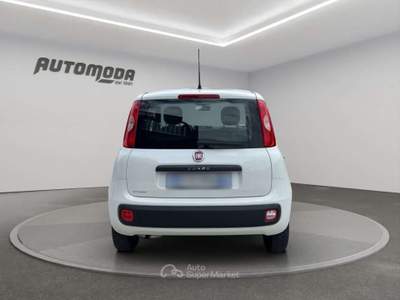 Fiat Panda 1.2 69CV EASY Bianco usata San Miniato