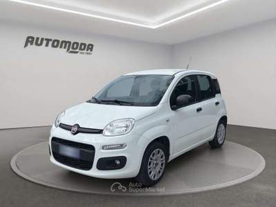 Fiat Panda 1.2 69CV EASY Bianco usata San Miniato