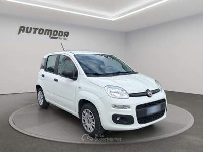 Fiat Panda 1.2 69CV EASY Bianco usata San Miniato