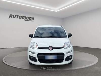 Fiat Panda 1.2 69CV EASY Bianco usata San Miniato