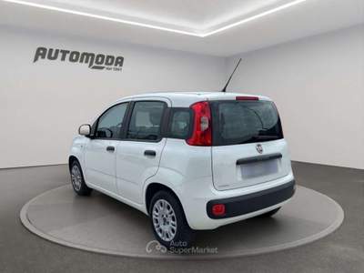 Fiat Panda 1.2 69CV EASY Bianco usata San Miniato