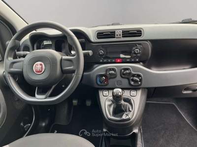 Fiat Panda 1.2 69CV EASY Bianco usata San Miniato