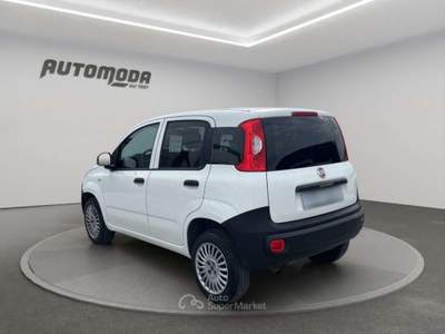 Fiat Panda 84cv Bianco usata San Miniato