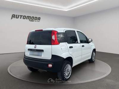 Fiat Panda 84cv Bianco usata San Miniato