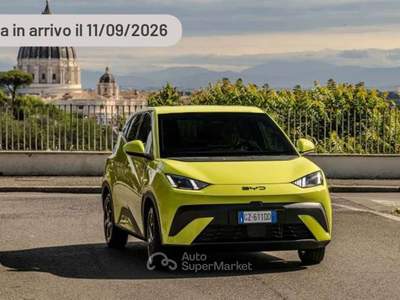 BYD Dolphin 30 kWh Active Argento usata Pieve di Cento