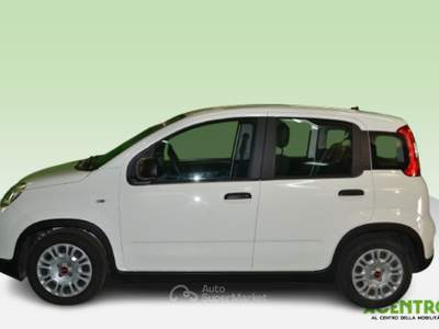Fiat Panda - my23 1.0 70cv hybrid panda Bianco usata CAGLIARI