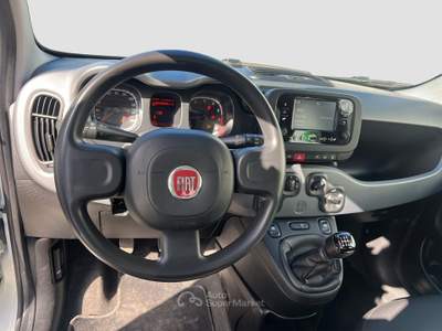 Fiat Panda FireFly S&S Hybrid City Life Bianco usata Roma