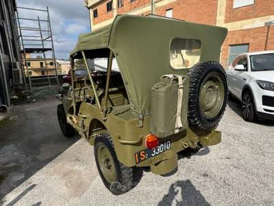 Jeep Willys  Verde usata Ripalimosani