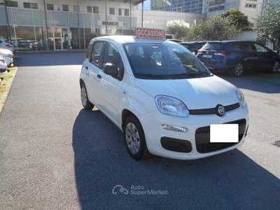 Fiat Panda TENUTA MOLTO BENE Bianco usata ARCO