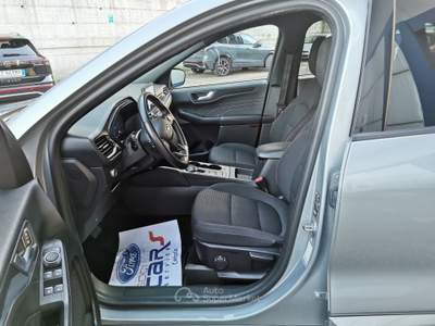 Ford Kuga EcoBlue 120 CV aut. 2WD ST-Line Grigio usata Cercola