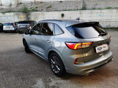 Ford Kuga EcoBlue 120 CV aut. 2WD ST-Line Grigio usata Cercola