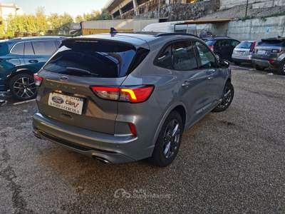 Ford Kuga EcoBlue 120 CV aut. 2WD ST-Line Grigio usata Cercola