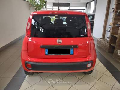 Fiat Panda 85CV S&S Easy Rosso usata Torre Annunziata