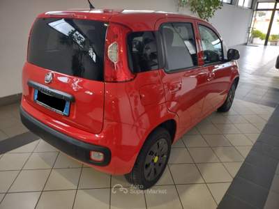 Fiat Panda 85CV S&S Easy Rosso usata Torre Annunziata