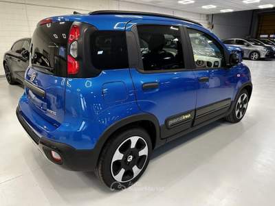 Fiat Panda 1.0 FireFly Hybrid Blu/Azzurro usata Moncalieri