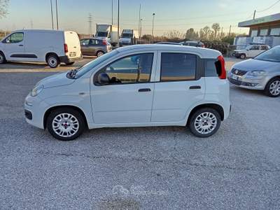 Fiat Panda 5 Porte, Benzina , 51 kW (70 CV), Manuale , 2 Posti Van Bianco usata TAGLIO DI PO