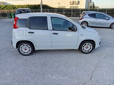 Fiat Panda 5 Porte, Benzina , 51 kW (70 CV), Manuale , 2 Posti Van Bianco usata TAGLIO DI PO