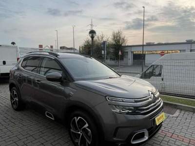 Citroen C5 Aircross BlueHDi 130 S&S EAT8 Shine Grigio usata Beinasco