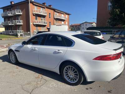 Jaguar XF 2.0d e-perf. Pure Business edition 163cv auto Bianco usata Treviglio