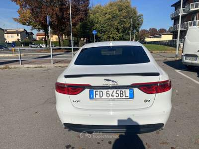 Jaguar XF 2.0d e-perf. Pure Business edition 163cv auto Bianco usata Treviglio