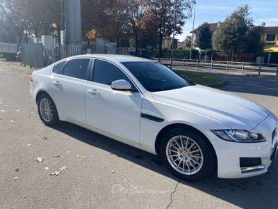 Jaguar XF 2.0d e-perf. Pure Business edition 163cv auto Bianco usata Treviglio
