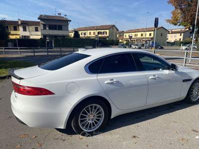 Jaguar XF 2.0d e-perf. Pure Business edition 163cv auto Bianco usata Treviglio