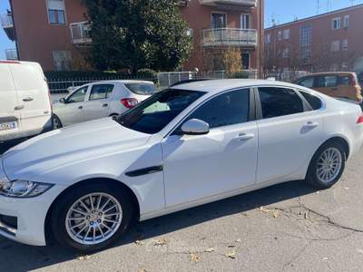 Jaguar XF 2.0d e-perf. Pure Business edition 163cv auto Bianco usata Treviglio